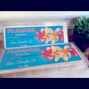 7oz All-Natural Soy Scented Wax (Large 12 cubes)